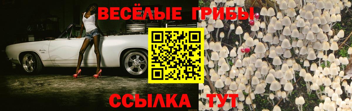 Грязи  Галлюциногенные грибы ЛСД  Псилоцибиновые грибы GOLDEN TEACHER  Вход с VPN 